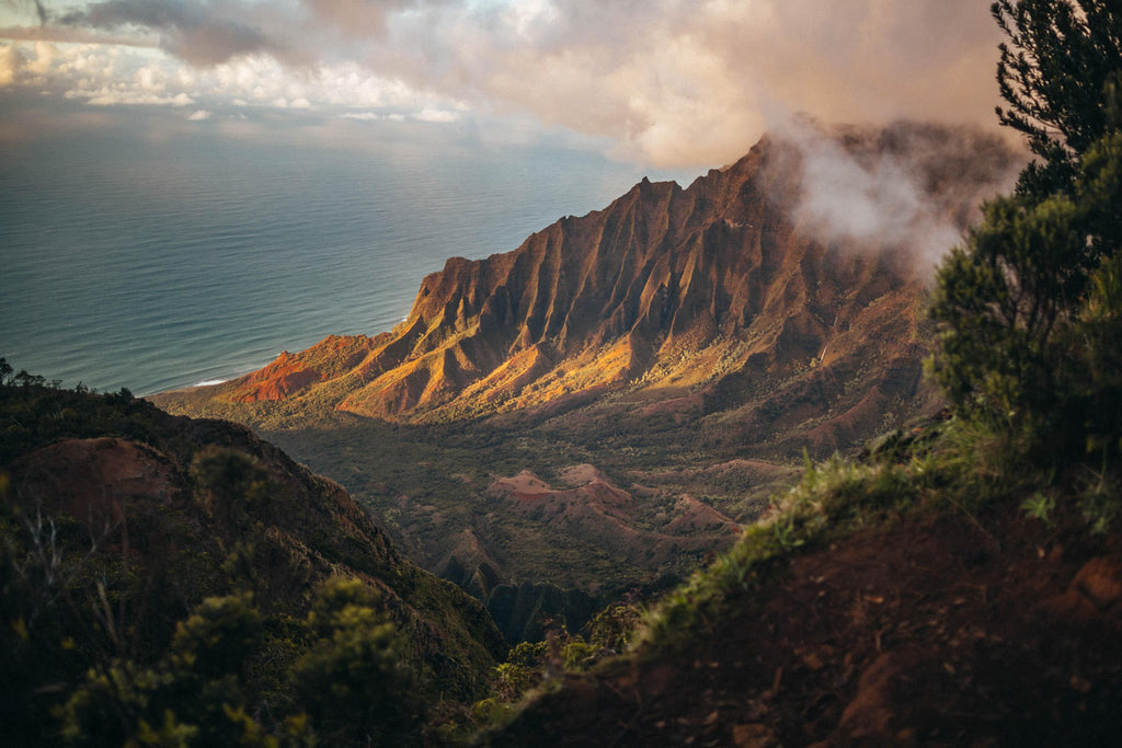 Giving Tuesday with Sustainable Coastlines Hawai'i